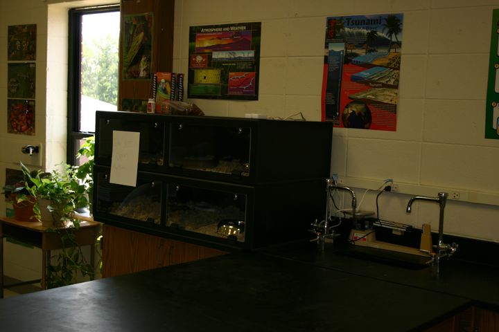 Classroom