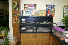 Classroom Enclosures
