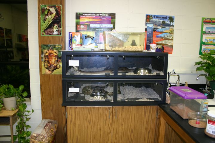 Classroom Enclosures