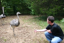 Me and one of the female Rheas