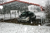 Nic's First Snow