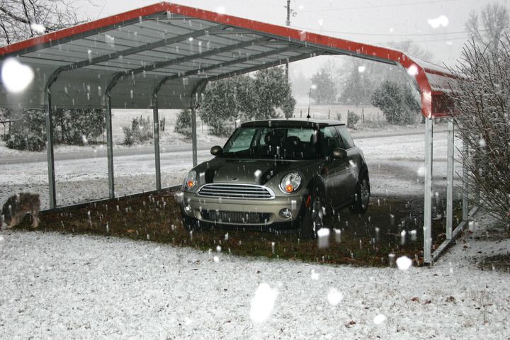 Nic's First Snow