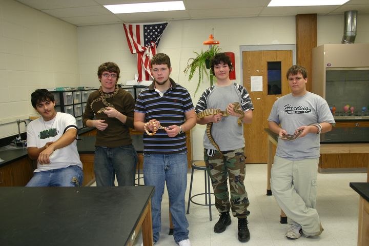 Snake Quintet