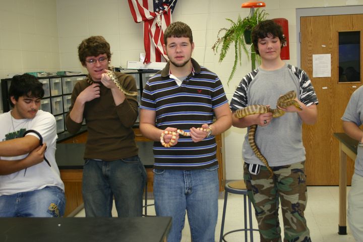 Snake Quintet