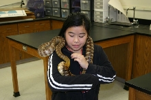 snake charmer