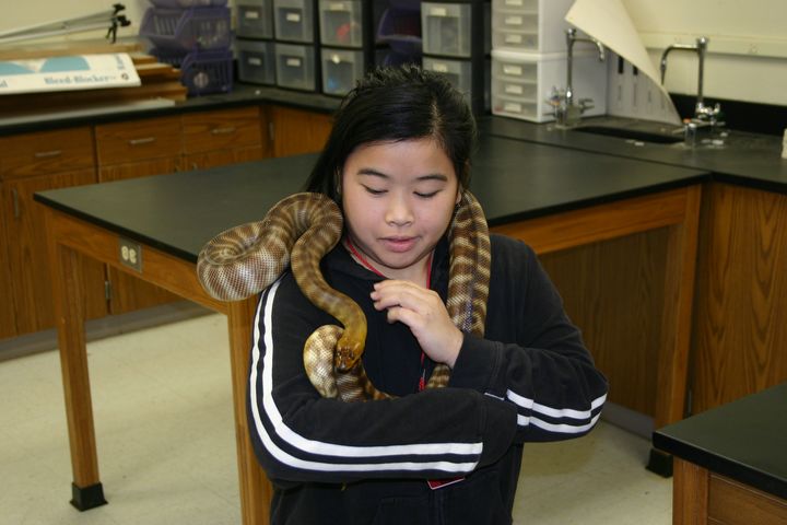 snake charmer