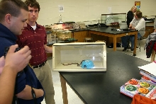 me and coral cobra