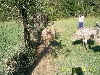 Blond and Light Comparison