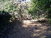 Cassowary