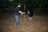 Darwin and Me