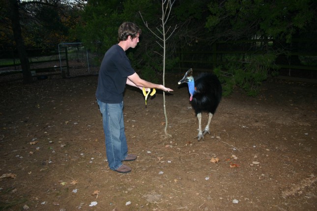 Darwin and Me