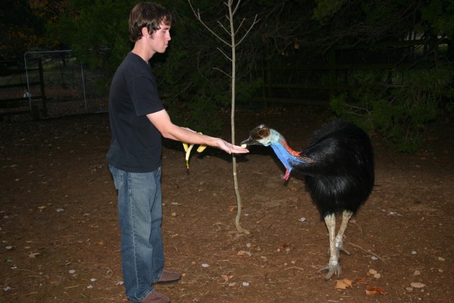 Darwin and Me