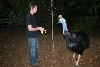 Darwin and Me