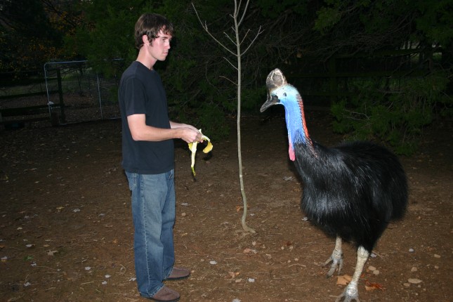 Darwin and Me