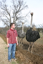 Me and an ostrich