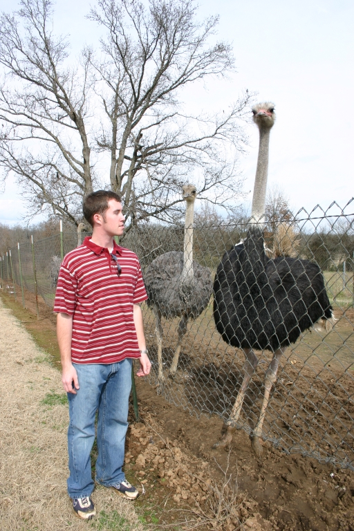 Me and an ostrich