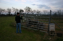 Me and an Ostrich Hen