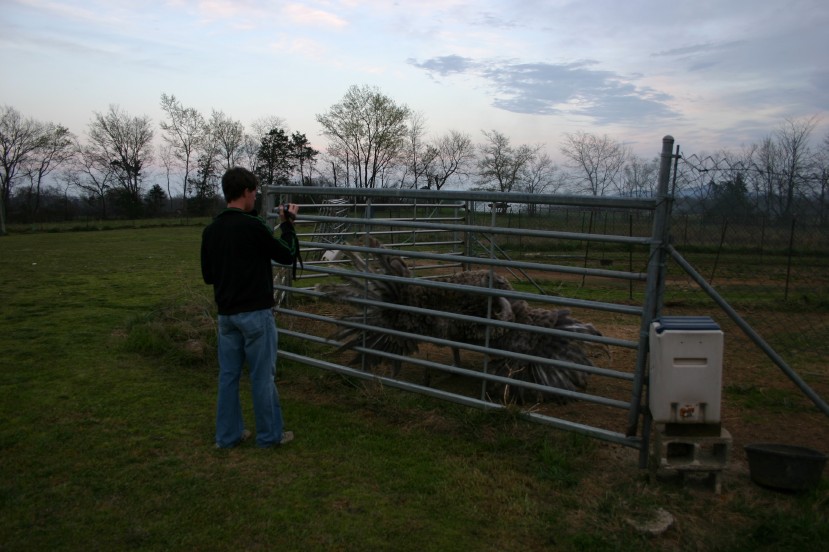Me and an Ostrich Hen