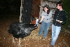 Me, Chelsea, and Darwin