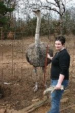 Kris and an Ostrich