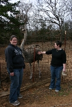 Chelsea, Kris, and an Ostrich