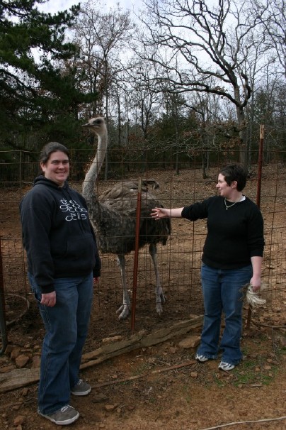 Chelsea, Kris, and an Ostrich