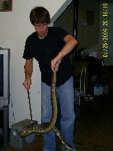 Unpacking Monster Monocled