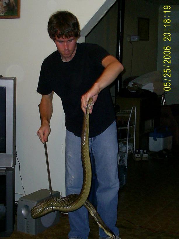 Unpacking Monster Monocled