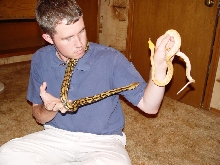 My new retics.