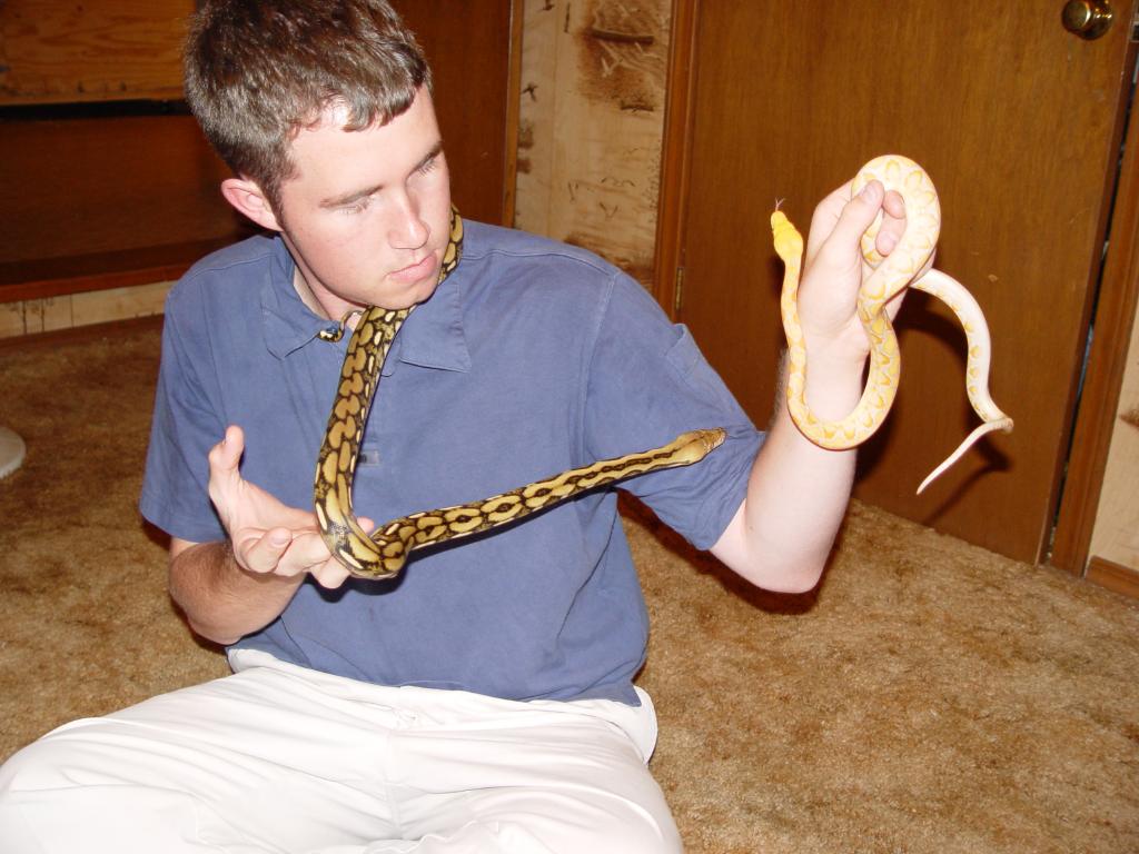 My new retics.