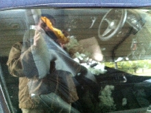 BMW Damage