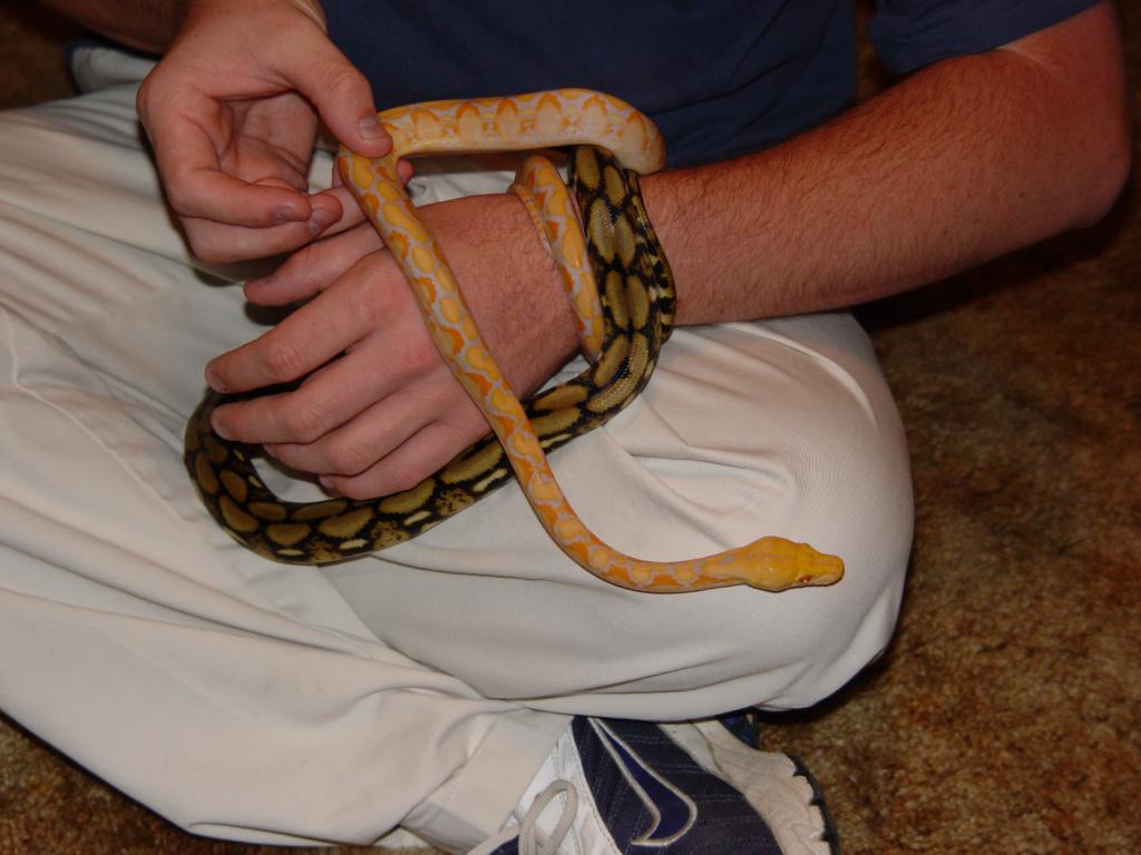 My new retics.