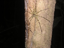What is this?