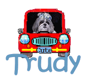 tiny red car