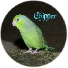 Chipperfull