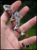 Tiamat