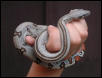 Tiamat