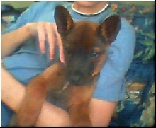 Duke
