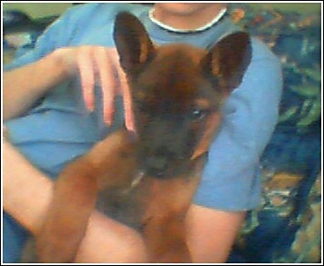 Duke