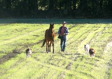 Ellis, Catalan and dogs enjoying warm sunshine