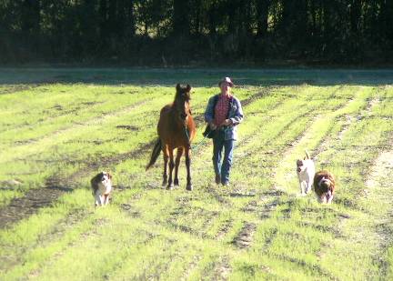 Ellis, Catalan and dogs enjoying warm sunshine