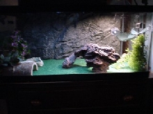 Peanut's temp home