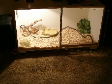 tank view 2