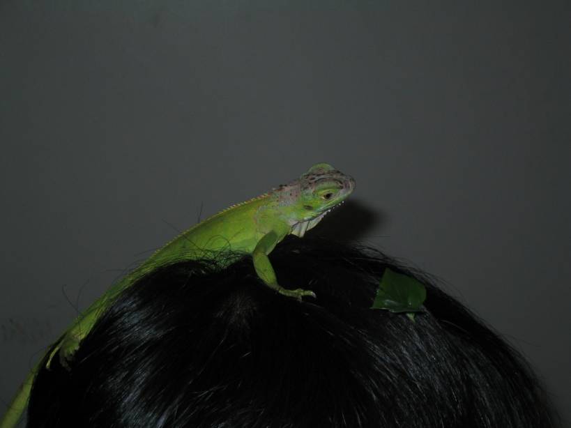 Eating on my fren's head