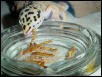 Dinnertime