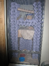 crested enclosure