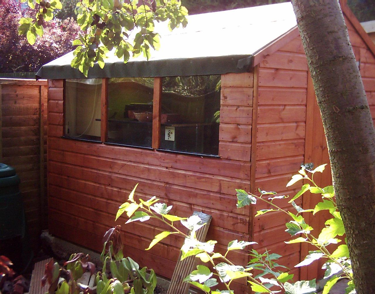 Shed again