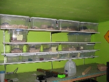 old shots of reptile room...very bright