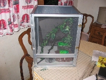 sandfire cage