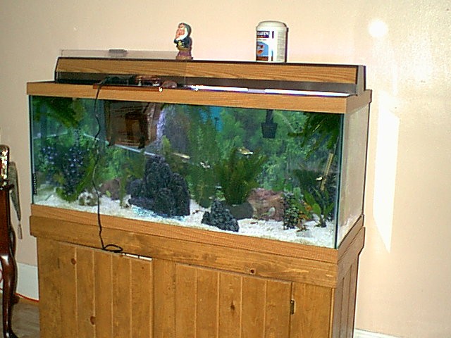 75 Gallon Tank
